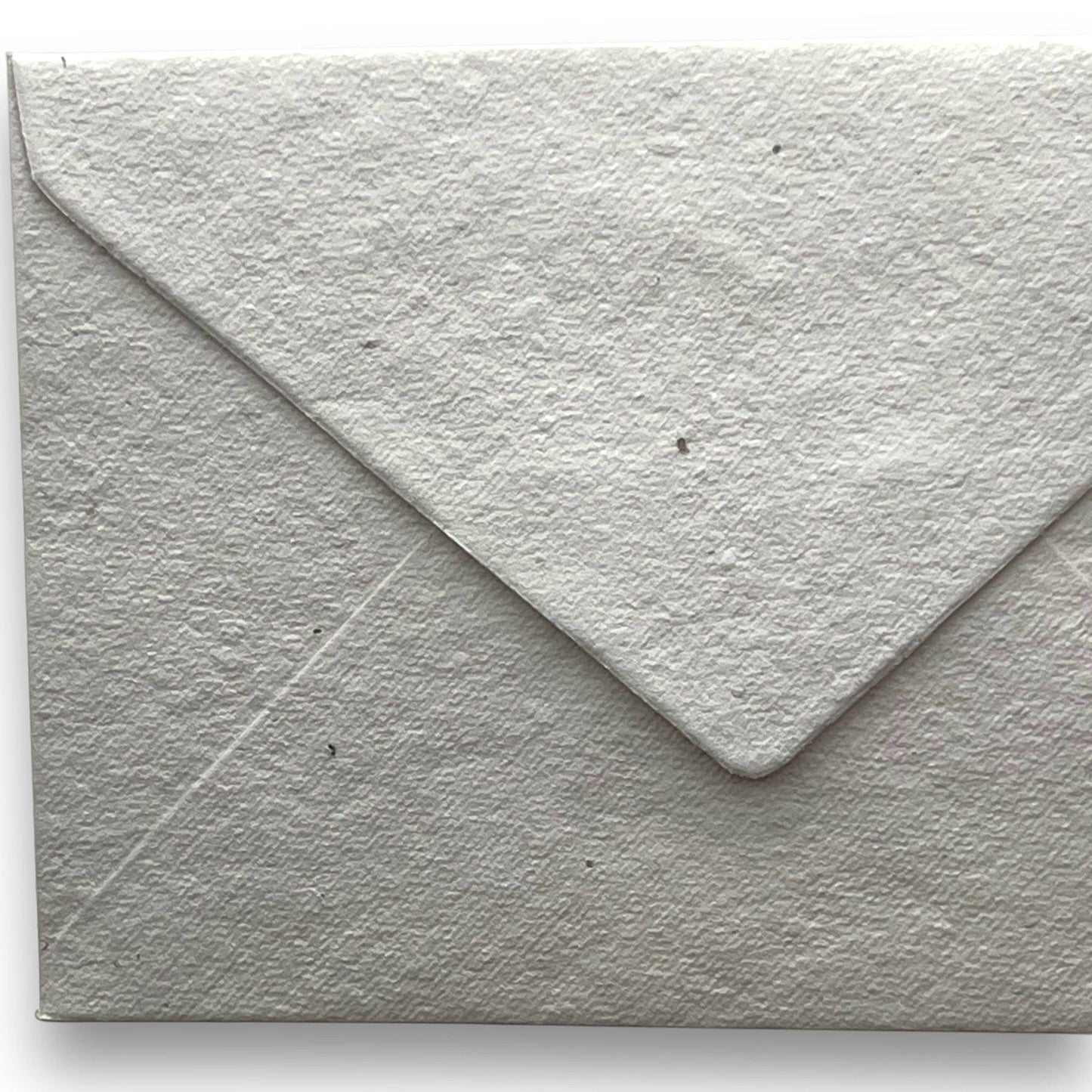 Toronto Typewriters Paper Pack Wildflower Paper & Envelope Pack